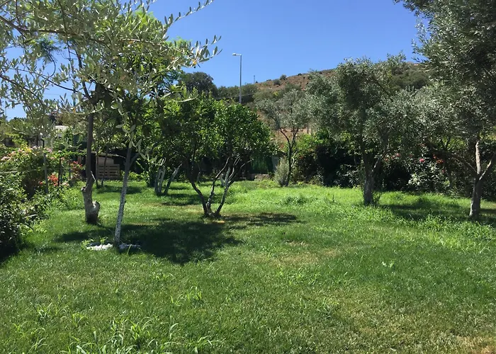 Sakiz Tinyhouse Gæstehus *